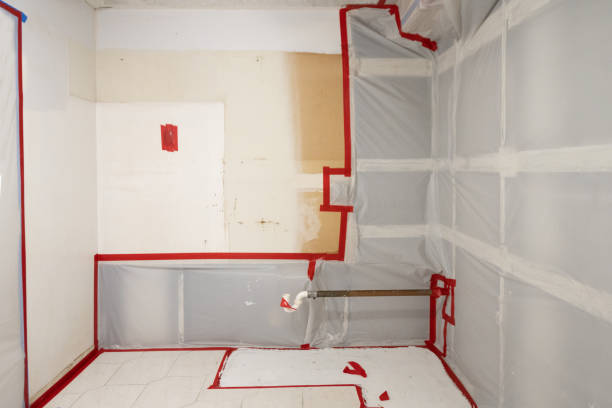 Dehumidification Services in Bear Valley Springs, CA