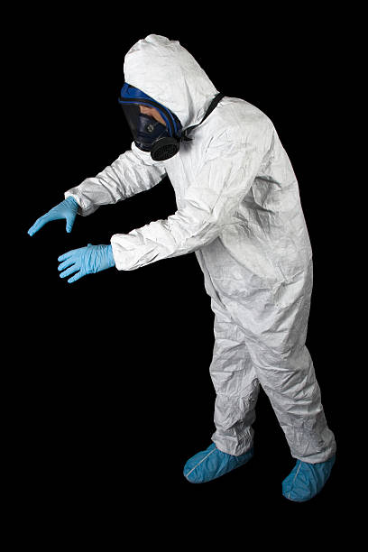 Best Black Mold Removal  in Bear Valley Springs, CA
